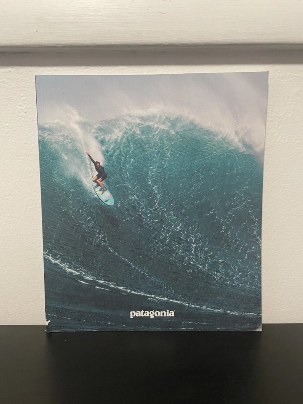 Patagonia Magazine NEW Authentic Catalog Book Fall 2026 Outdoors Fitness Nature